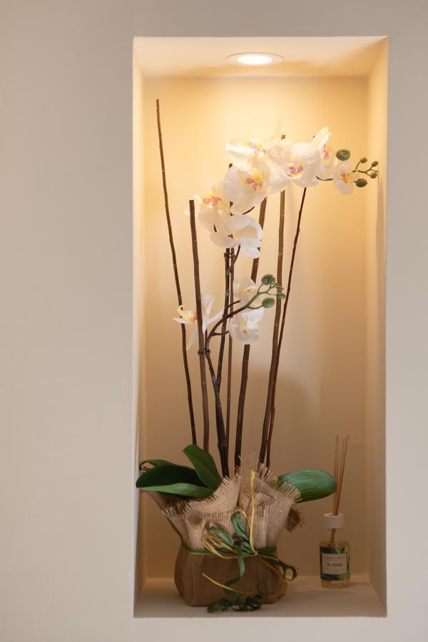 Appartamento Scevola Tourist Accomodation
